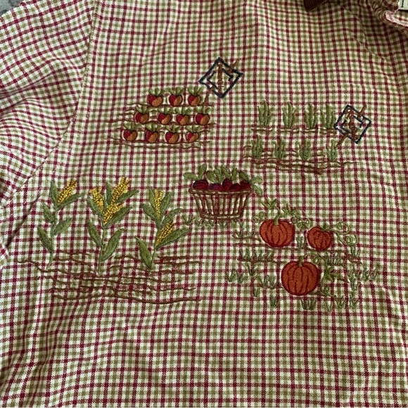 Casey & Max Gingham Fall Embroidered Long Sleeve Button Down Size M - Picture 2 of 5